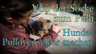 Hundemantel selber nähen  von der Socke zum Pulli  Hundemantel stricken  Hundepulli Hundepullover [upl. by Kellby536]