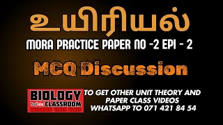 மொறா பயிற்சி பரீட்சை இல 2  பல்தேர்வு வினாக்கள்  Mora Practice Exam No  2 2  EPISODE 2 [upl. by Rajiv458]