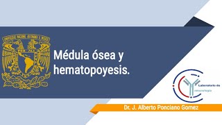 Curso de inmunología Sesión 1 Médula ósea y hematopoyesis [upl. by Aerdnad]