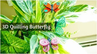 3D Butterfly QuillingQuilled Butterfly PatternPaper quilling art TutorialQuilling art designs [upl. by Lorou]