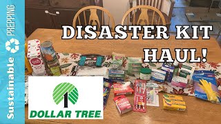 Build Your Disaster Kit at Dollar Tree [upl. by Lynd]