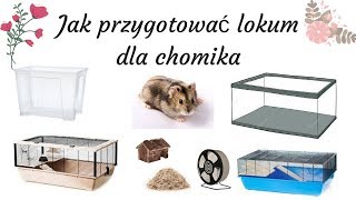 Jak przygotować lokum dla chomika [upl. by Reinhard904]