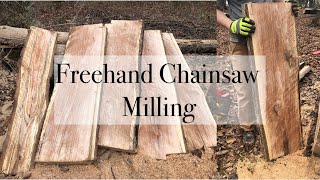 Freehand Chainsaw Milling [upl. by Nooj]