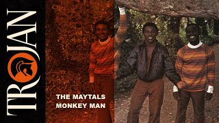 The Maytals Monkey Man official audio [upl. by Howell]