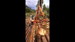 BARKO 160 LOADING LOGS [upl. by Ioj667]