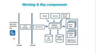 What is Citrix amp How it Works 1 on 1 Live Sessions [upl. by Hettie]