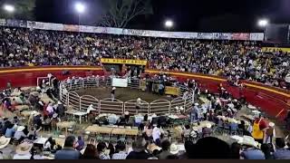 Feria el grullo jalisco 2023 plaza de toros el relicario [upl. by Ahsenot]