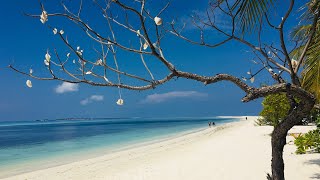 KUREDU ISLAND RESORT  BLISSFUL amp STUNNING BEACHES MALDIVES [upl. by Emmalynne]