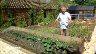 Arrosage pratique et économique  installer un tuyau microporeux  Jardiland FR TV [upl. by Beth795]