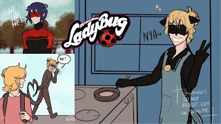 Familia Agreste  Miraculous Ladybug comic [upl. by Navetse]