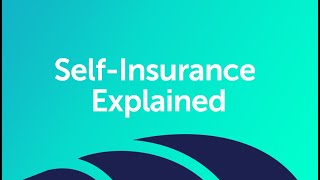 SelfInsurance Explained [upl. by Tnecnivleahcim]