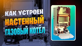 Как устроен настенный газовый котёл и принцип его работы [upl. by Leynwad734]