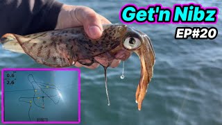 Helpful Tips For Catching Westernport Squid  EP20  Get’n Nibz [upl. by Palladin]