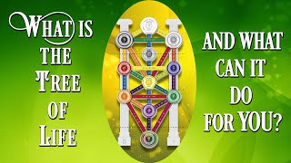 What is The Tree of Life and What Can It Do For You [upl. by Dian]