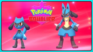 POKÉMON ÉPÉE BOUCLIER COMMENT AVOIR RIOLU ET LUCARIO [upl. by Uriah]