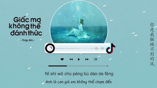 Vietsub Giấc Mơ Không Thể Đánh Thức Full Tiktok  Thập Nhị  醒不来的梦  拾贰！ [upl. by Vardon]