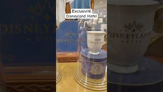 Exclusivité merch Disneyland Hotel [upl. by Garceau]