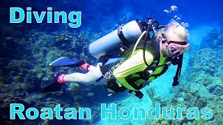 Diving in Roatan Honduras Caribbean [upl. by Debbra]