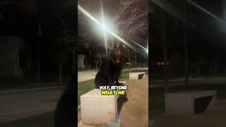 Top three reasons why Dogs back at night dog doglover 100k subscribe reels like share pets [upl. by Paule877]