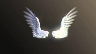 Angel  Bird Wings Final Version [upl. by Chaffee]