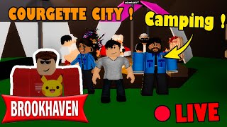 Live Roblox BROOKHAVEN  LE CAMPING À COURGETTE CITY  En Vocal 😁 BROOKHAVEN RP STORY [upl. by Eahsram]