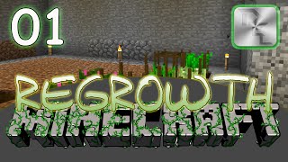 Minecraft Regrowth Modpack  Regrowth Lets Play  Ep 1  Getting Started in Regrowth [upl. by Iphagenia835]