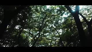 KENPARK Kenjeran Park Surabaya Video Teaser [upl. by Oir]