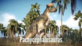 Dino Files 14 Pachycephalosaurus [upl. by Satsoc]