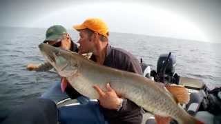 Monster Musky Eats Smallmouth  The Fish of a Lifetime [upl. by Dawn]