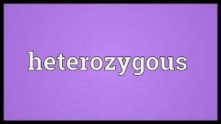 Heterozygous Meaning [upl. by Neala234]