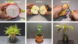 3 Years in 20 Minutes  Growing Plants Time Lapse Copilation [upl. by Bianka]