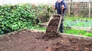 The BEST WAY to Prepare Raised Beds for Growing AMAZING Vegetables [upl. by Ailen]