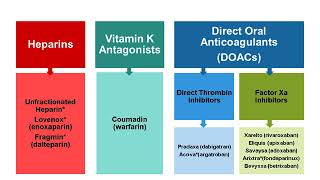 Webinar  Whats New in Anticoagulation Therapy [upl. by Nereen373]