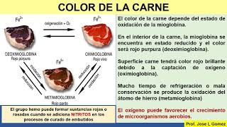 BROMATOLOGIA CARNE [upl. by Nosmoht727]