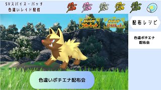 【ポケモンSV】色違いポチエナ配布会 ラスト！【自動レイド 参加自由】 [upl. by Courtney542]