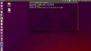 How to run python program using terminal [upl. by Wun]