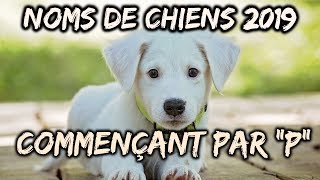 🐕Idées noms de chiens 2019 commençant par quotPquot🐕 [upl. by Cairns]