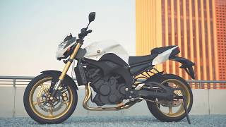 YAMAHA FZ8  Fstorm Render Animation [upl. by Lune]