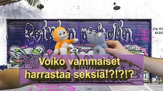 Voiko vammaiset panna [upl. by Stockmon]