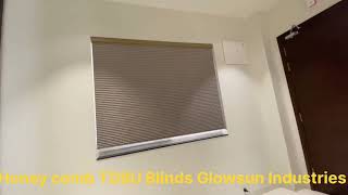 honey comb TDBU Blinds Glowsun Industries [upl. by Eluj]