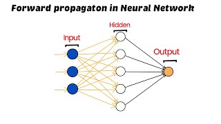 Forward Propagation in Neural Networks  Deep Learning [upl. by Nosydam878]