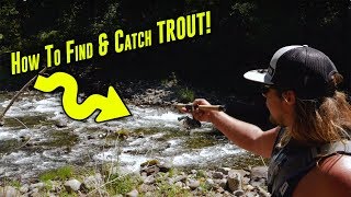 How To Catch TROUT In Creeks Rivers Or Streams  Trout Fishing Tips For SUCCESS [upl. by Anatole]