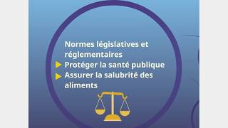 Normes législatives et réglementaires sur les produits alimentaires [upl. by Rehpotsrhc210]