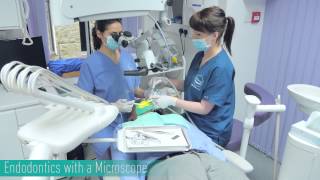 Endodontics with a Microscope at Mydentalie [upl. by Atsed]