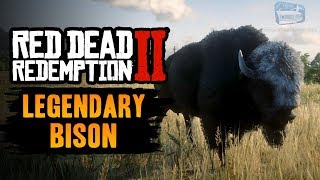 Red Dead Redemption 2 Legendary Animal  Legendary Tatanka Bison [upl. by Eednak]