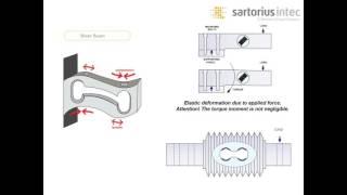 Lesman Webinar Load Cells [upl. by Shore]