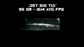 Fort Scott Munitions™ 95 gr 357 Sig TUI™ vs Clear Ballistics Gel [upl. by Snodgrass]