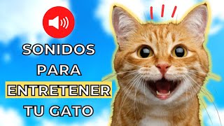 10 Sonidos para Gatos que los volverán LOCOS 😹 [upl. by Jere761]