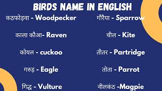 Birds Name In English  English Words [upl. by Nnayr]