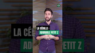 La cédille quotpetit Zquot  shorts culture histoire incroyable français ça langue apprendre [upl. by Alesig]